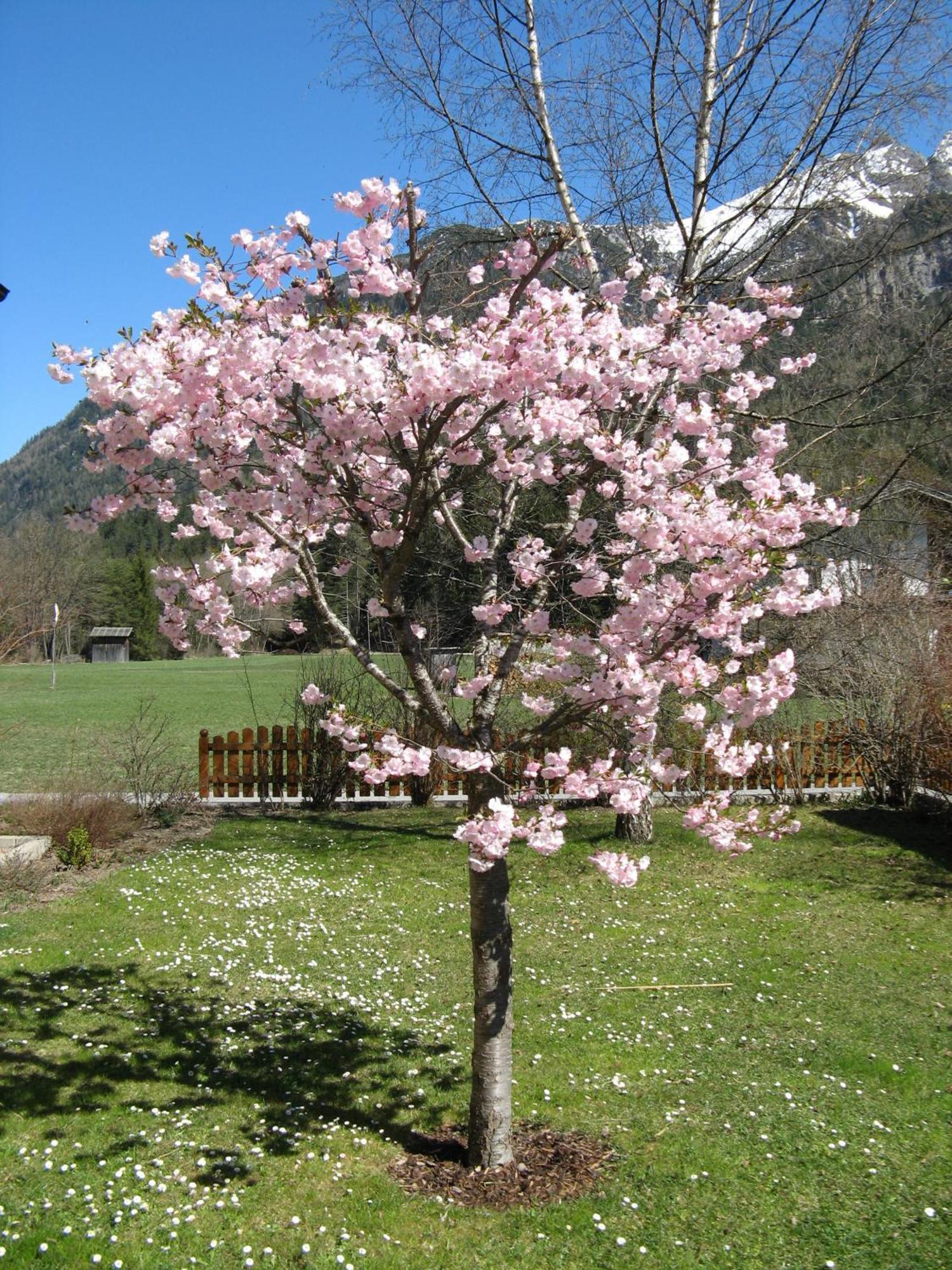 Ferienwohnungen Schlichtherle Bach  Exterior foto